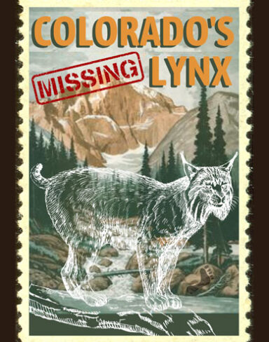 Colorado’s Missing Lynx